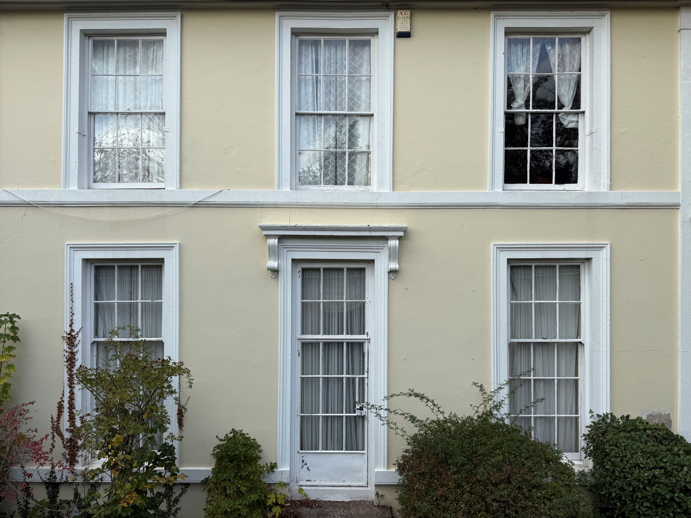 Georgian Windows